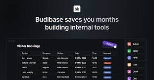 Budibase custom module development